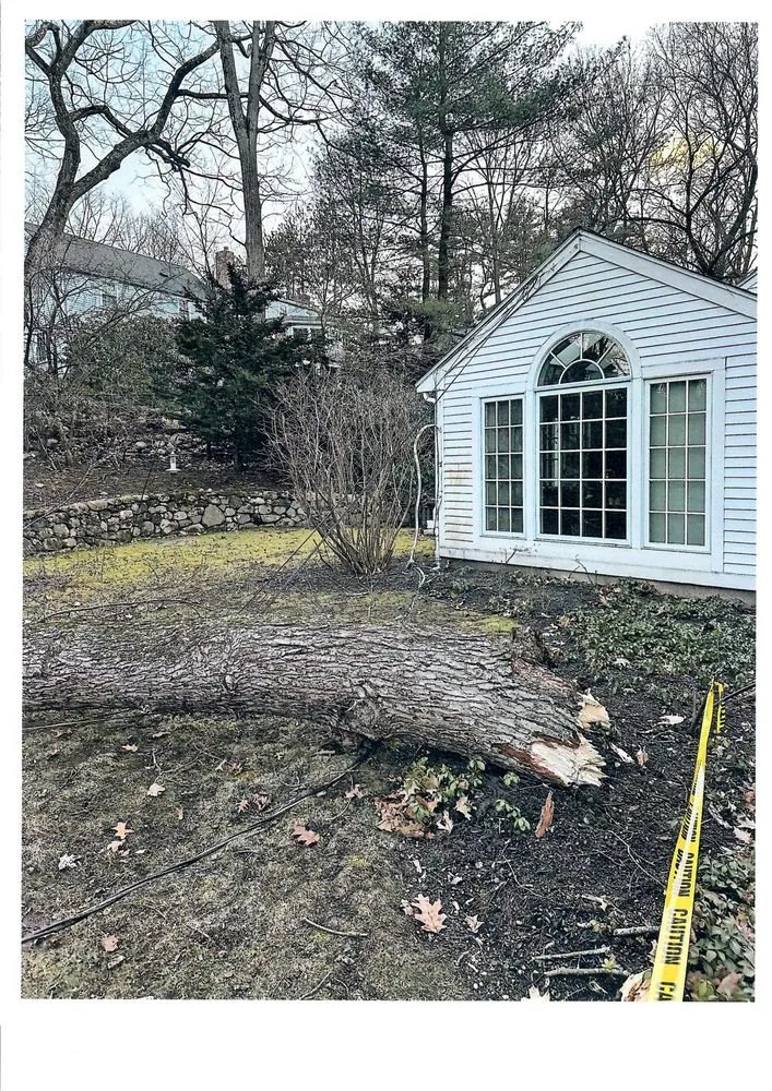 Slide of Village Home Services