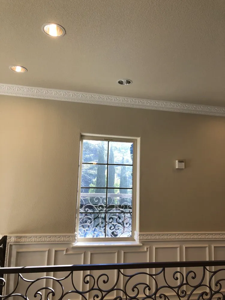 Slide of Vine Electric