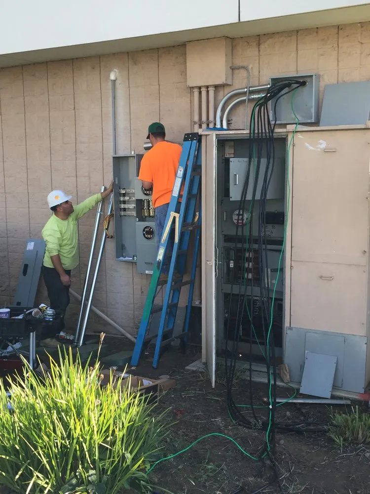 Slide of Vine Electric