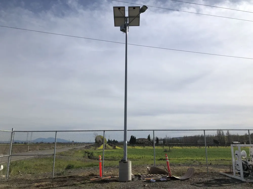 Slide of Vine Electric