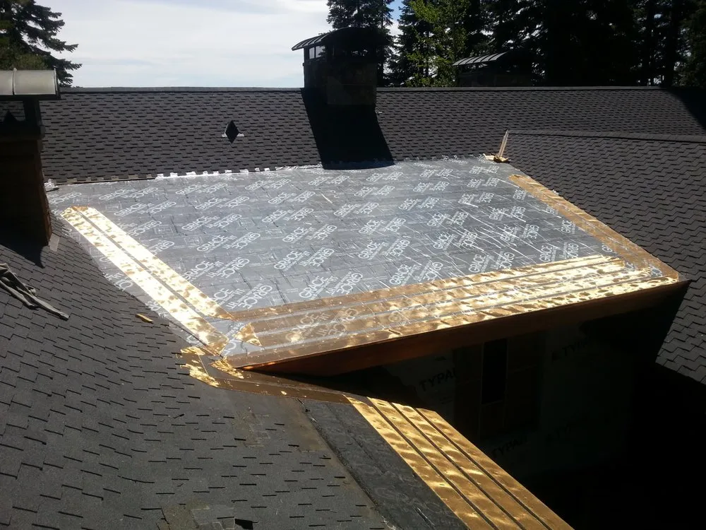 Slide of Vink's Electric