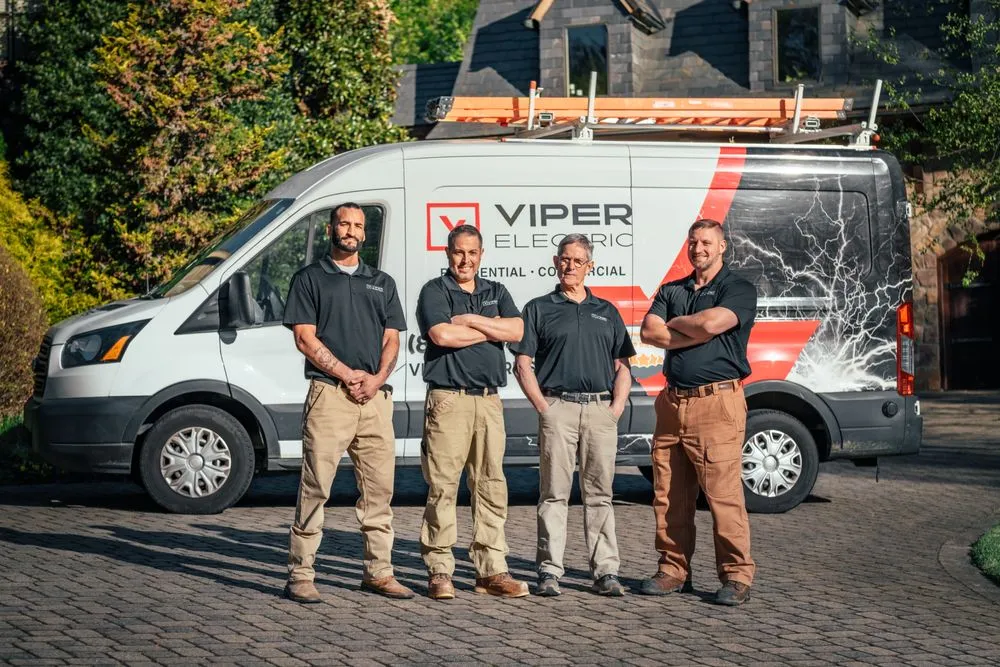 Slide of Viper Services