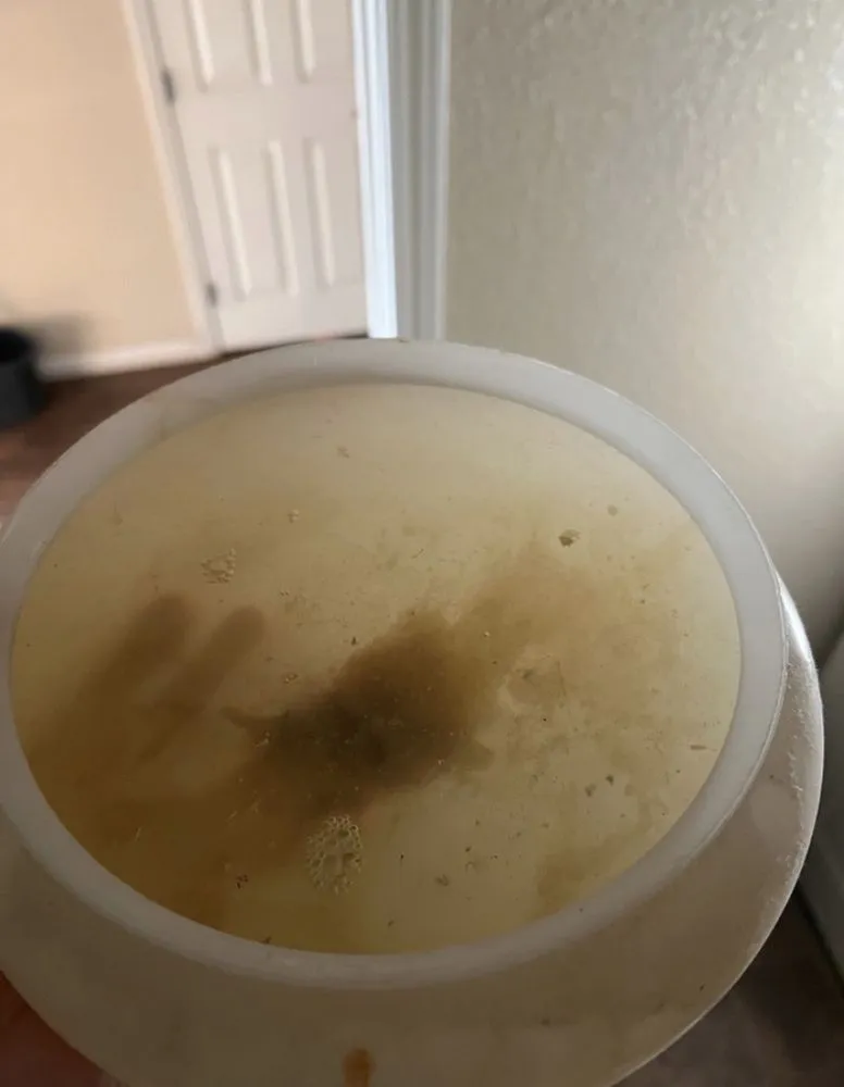 Slide of Virdell Valley