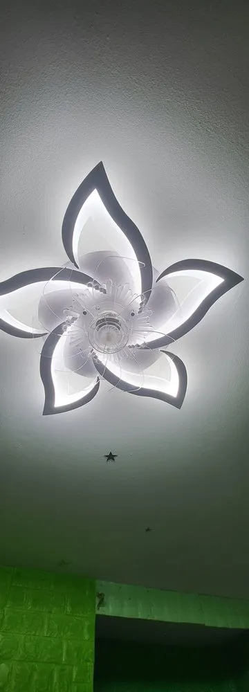 Slide of Virginia Lighting