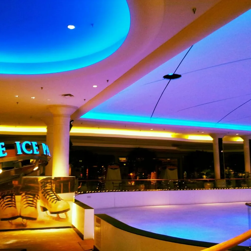 Slide of Visual Artisan