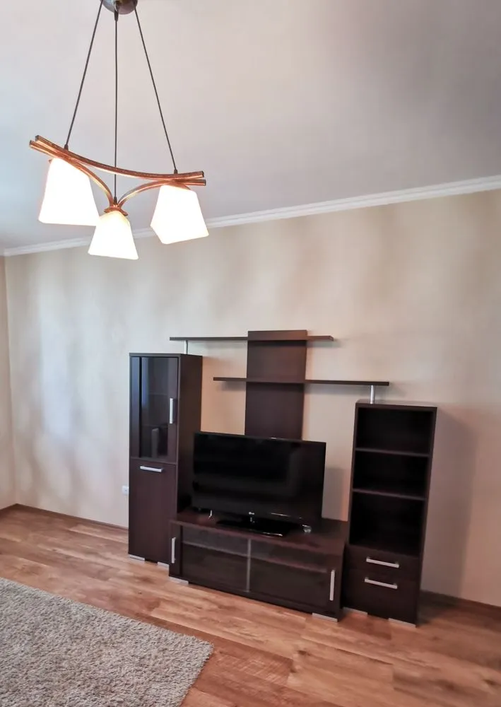 Slide of Vitalii Handyman