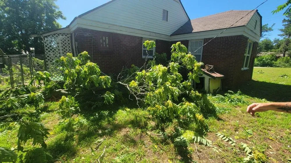 Slide of Vitalize Electric