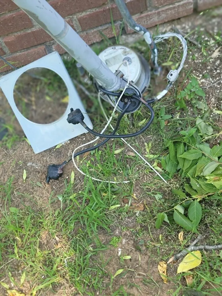 Slide of Vitalize Electric