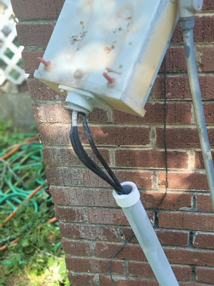 Slide of Vitalize Electric