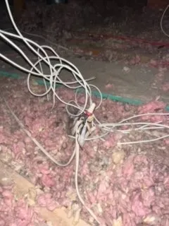 Slide of VitalWire Pro