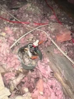 Slide of VitalWire Pro