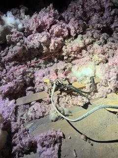 Professional electrical service for homes in lighting installation, by