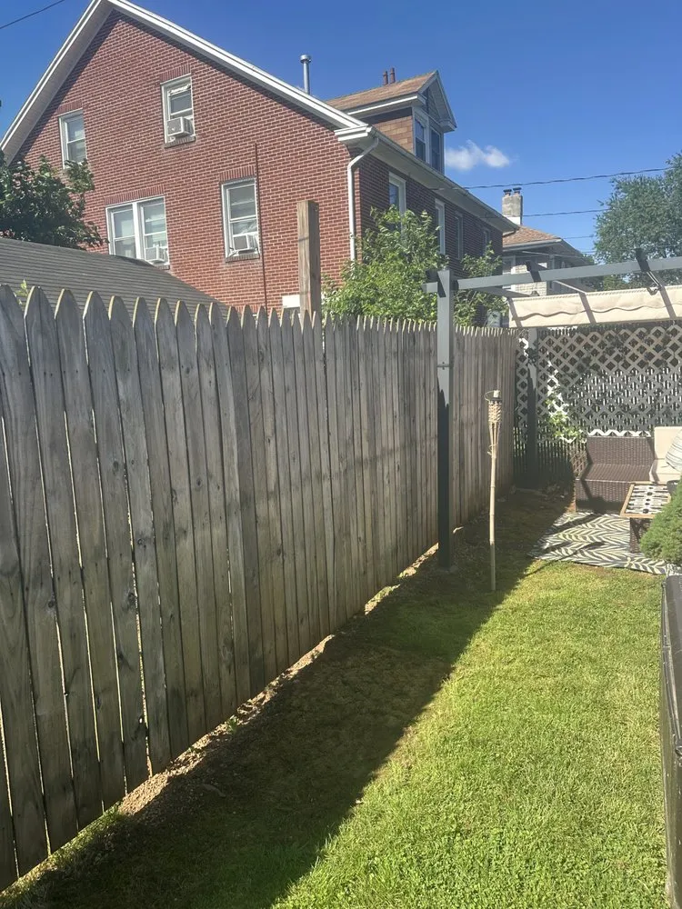 Slide of Vivid Lines