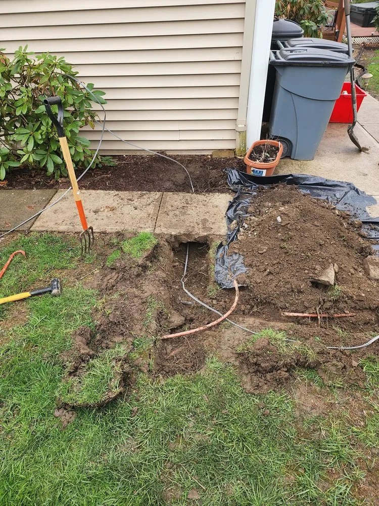 Slide of Vizion Electric