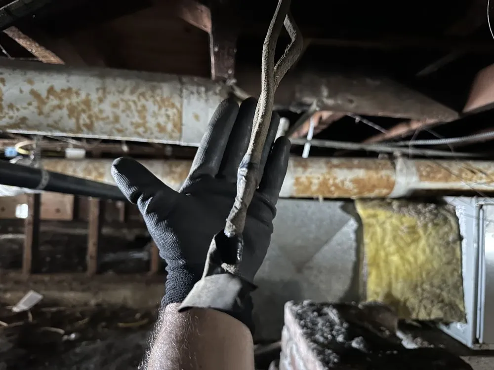 Slide of VNH Electric