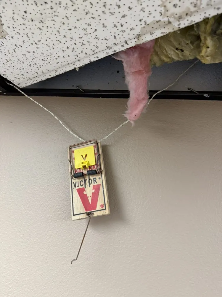 Slide of Volt Tech Electric