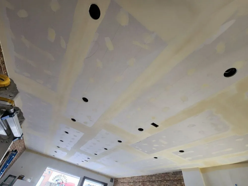 Slide of Voltaic Vision