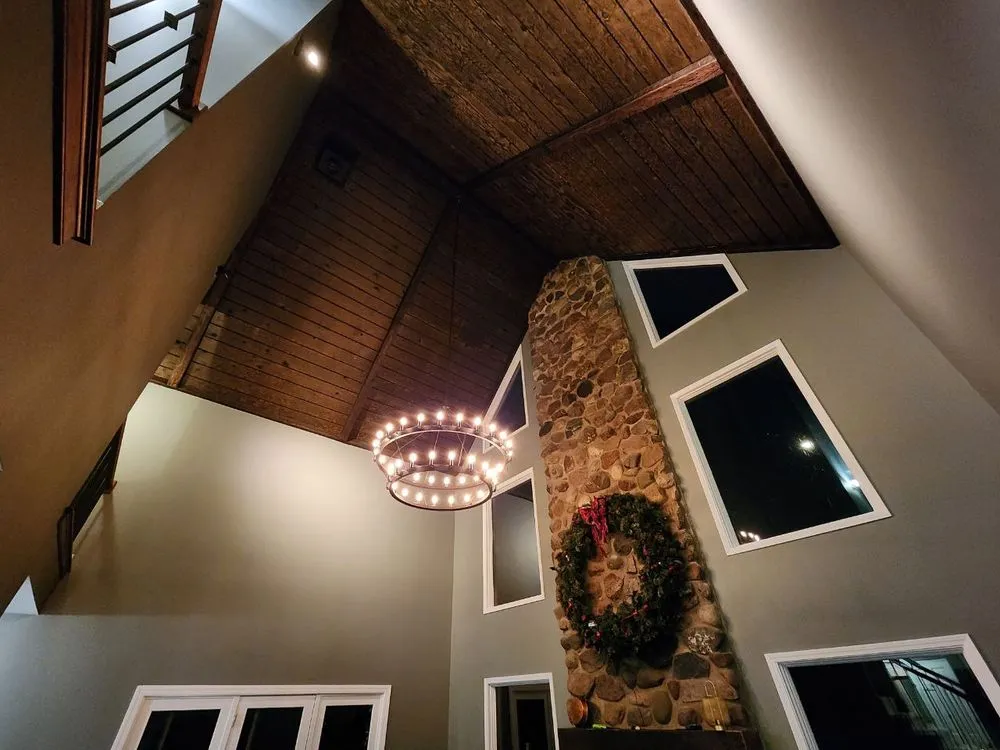 Slide of Voltaic Vision