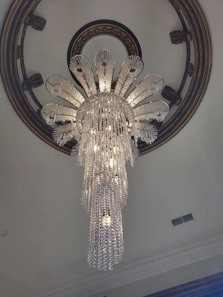 Slide of Voltaic Vision