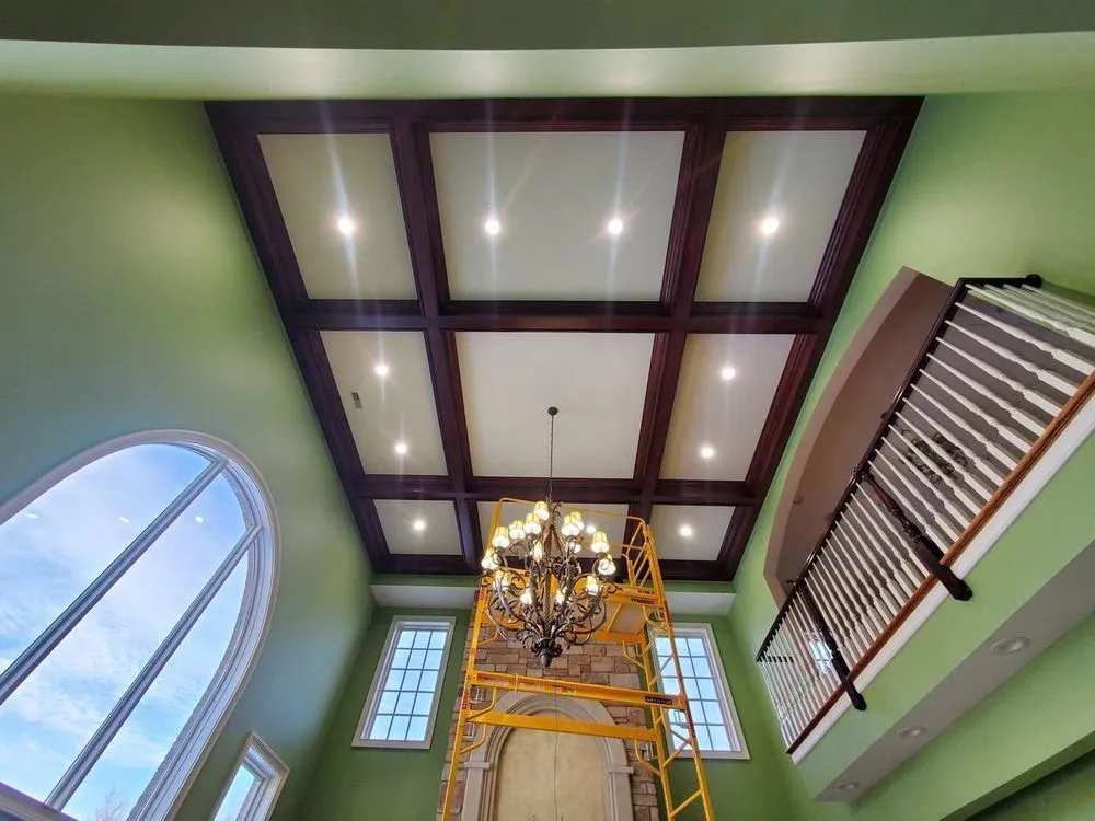 Slide of Voltaic Vision