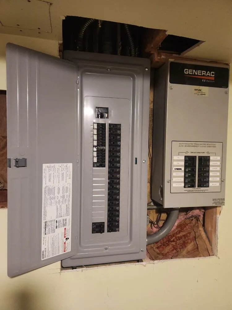 Slide of Voltaic Vision