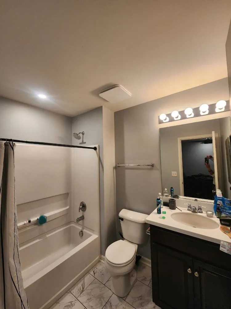 Slide of Voltaic Vision