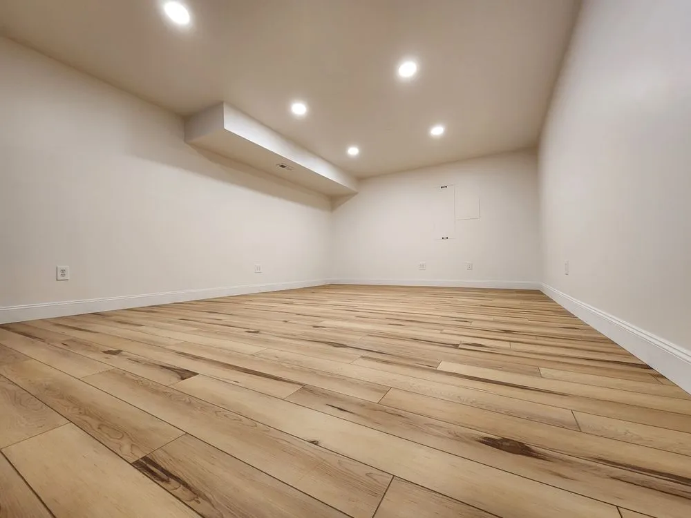 Slide of Voltaic Vision