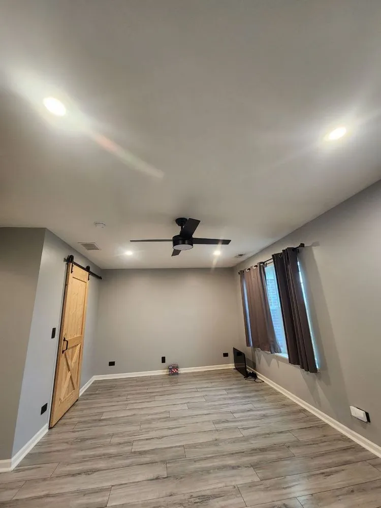 Slide of Voltaic Vision