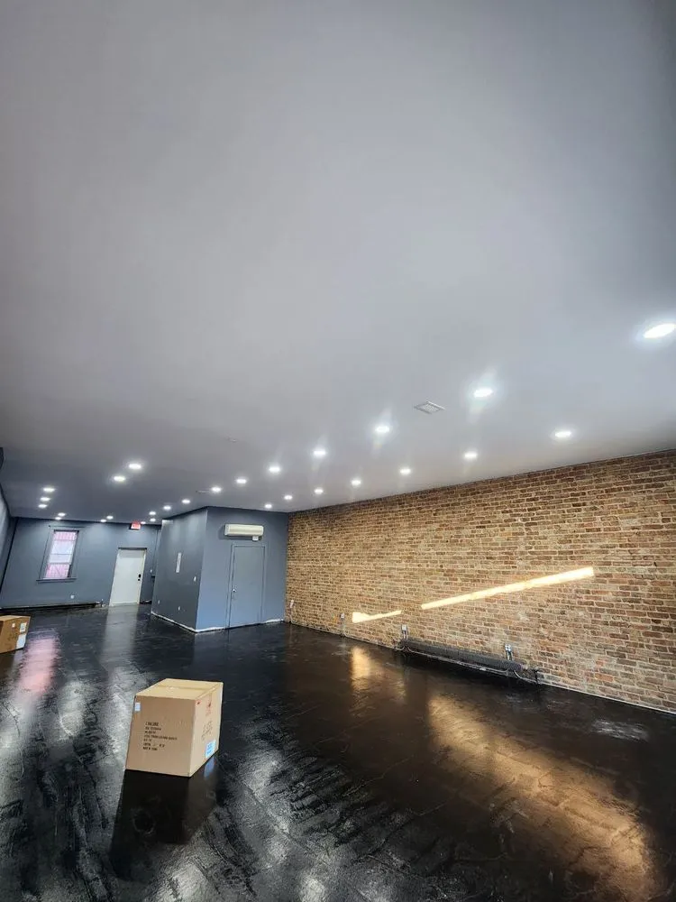 Slide of Voltaic Vision