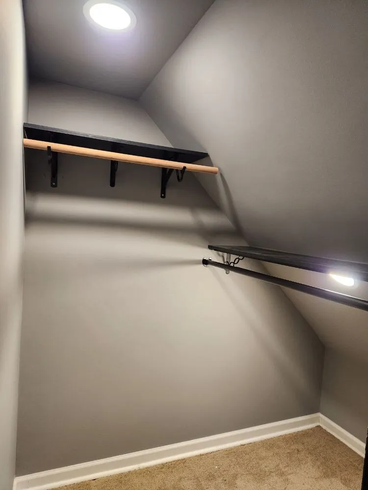 Slide of Voltaic Vision