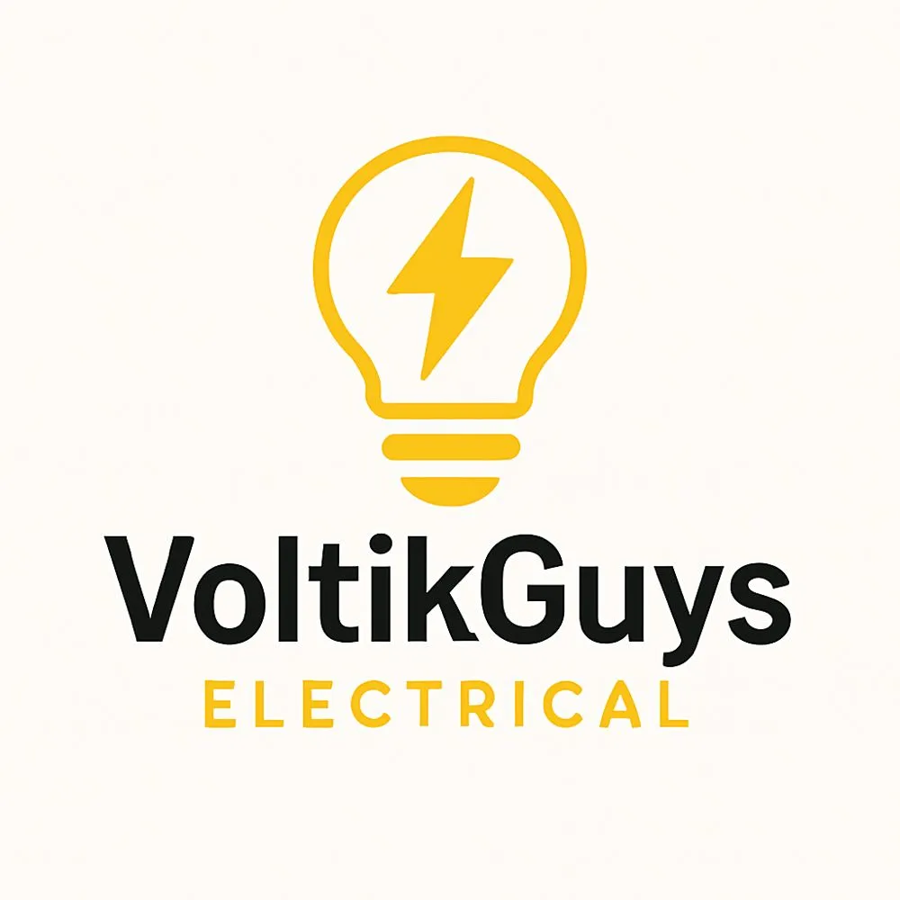 Slide of Voltik Guys