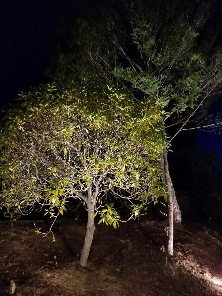 Slide of Voltman Electric