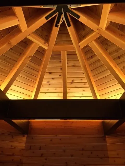 Slide of Voltric Electric