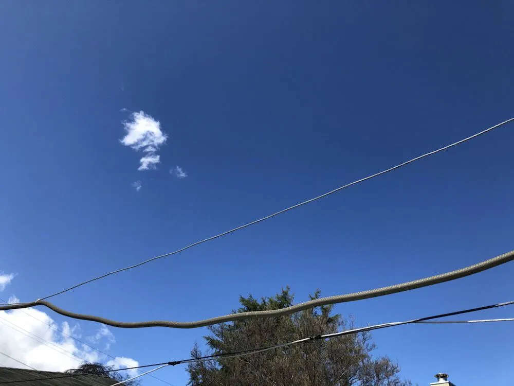 Slide of Voltz Electric