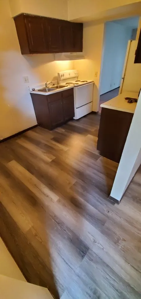 Slide of Voyager Handyman