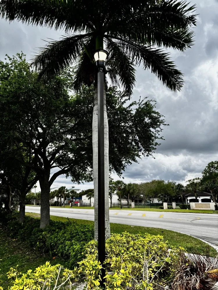 Slide of VP Electric