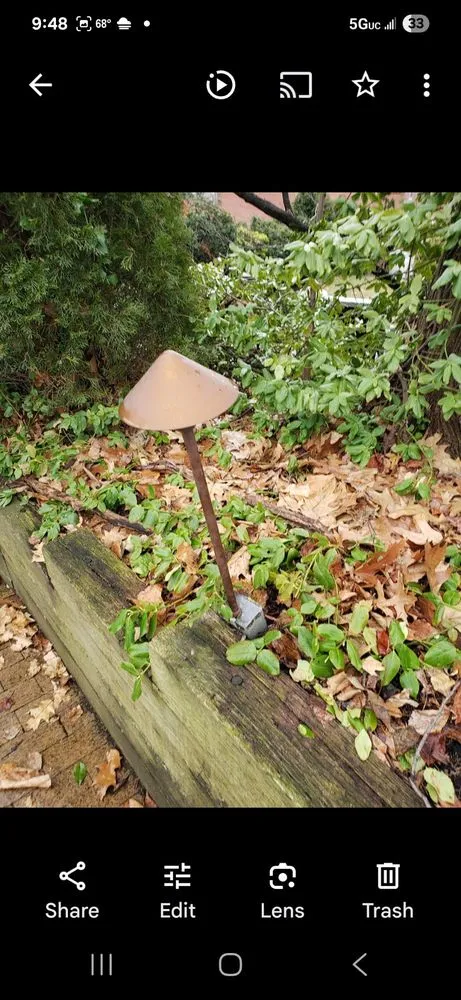 Slide of W L STEEVES ELECTRIC