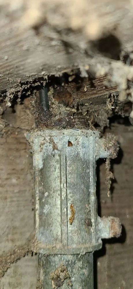 Slide of W L STEEVES ELECTRIC