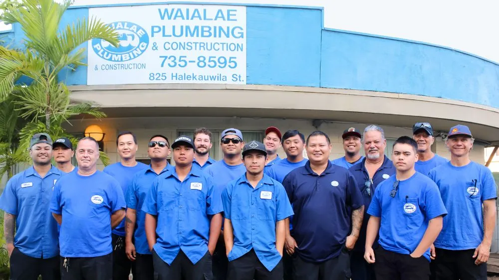 Reliable lighting installation service in ,  - Waialae Plumbing & Construction