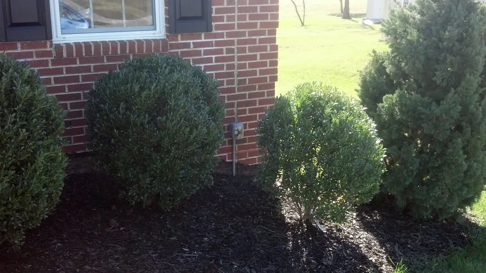 Emergency wiring installation experts serving Catlett, VA - Walls Electrical Service Inc