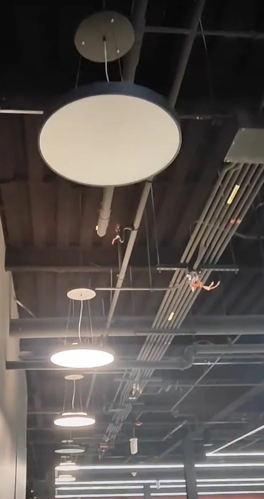 Slide of WALO ELETRICAL