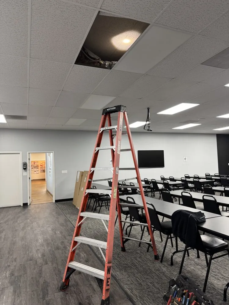 Slide of Walteria Electric