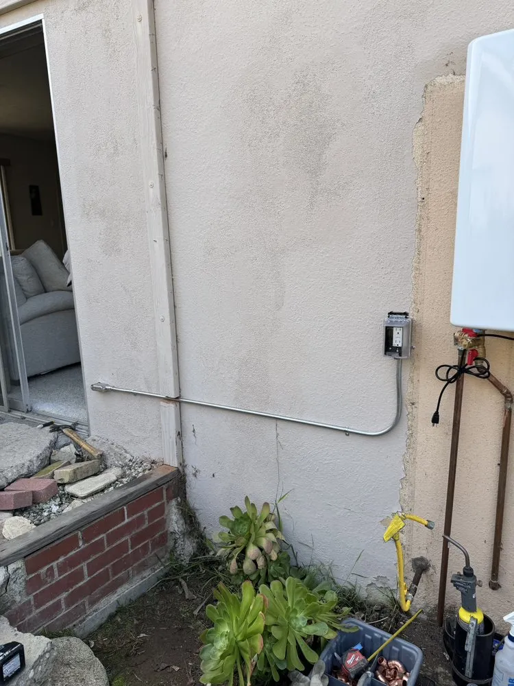 Slide of Walteria Electric