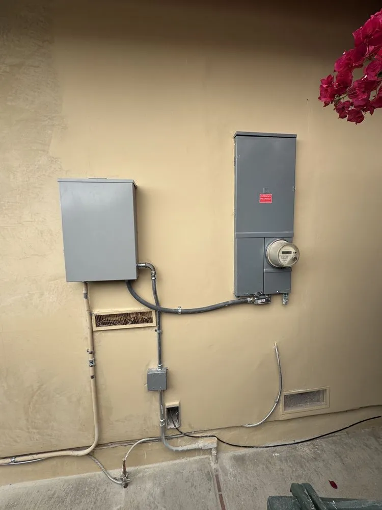 Slide of Walteria Electric