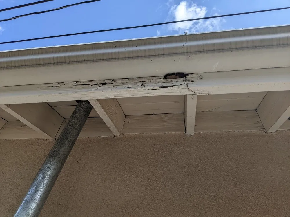 Slide of Wang the Handyman ???