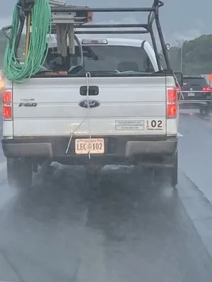 Washington Lanehart Electric Co Logo