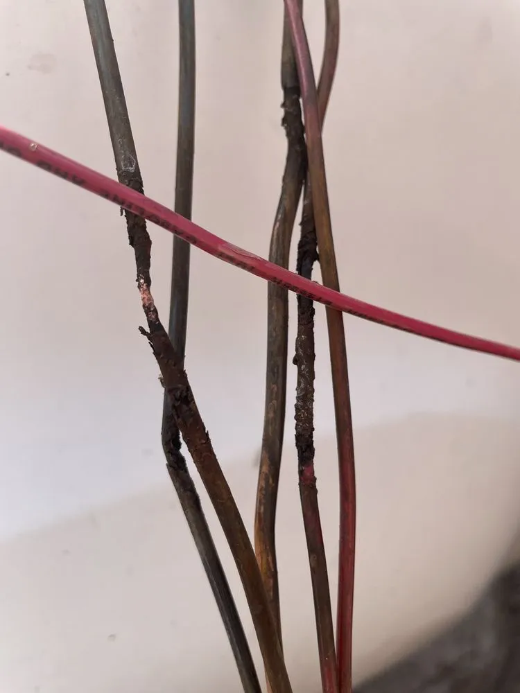 Slide of Watt Electric