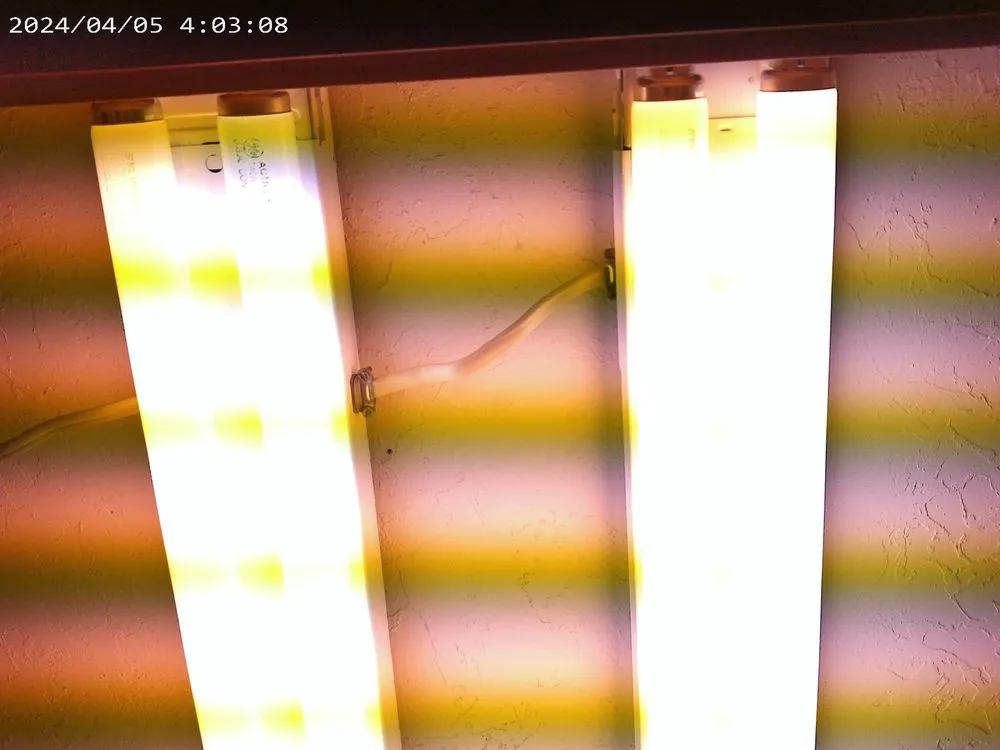 Slide of Watt Electric