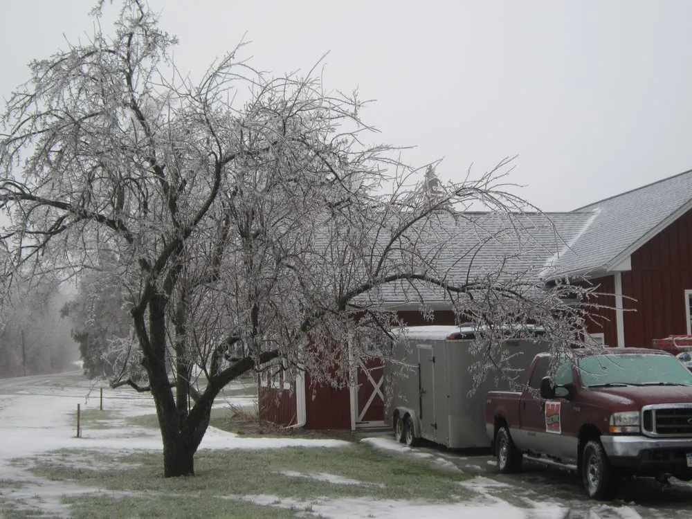Slide of Watts Brothers Electric