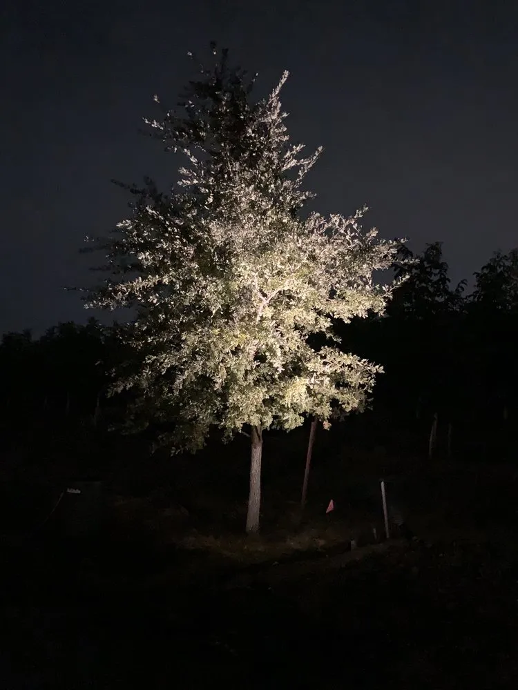 Reliable electrician providing electrical repair in ,